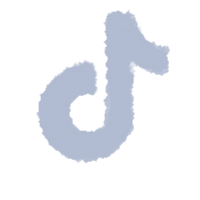 tik tok